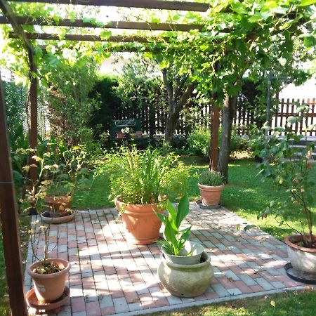 Bed And Breakfast Di Manu Taglio di Po 外观 照片